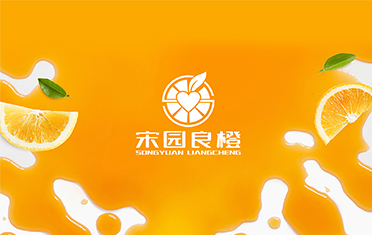某良橙——江苏LOGO设计